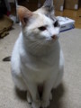 RIMG0017.JPG