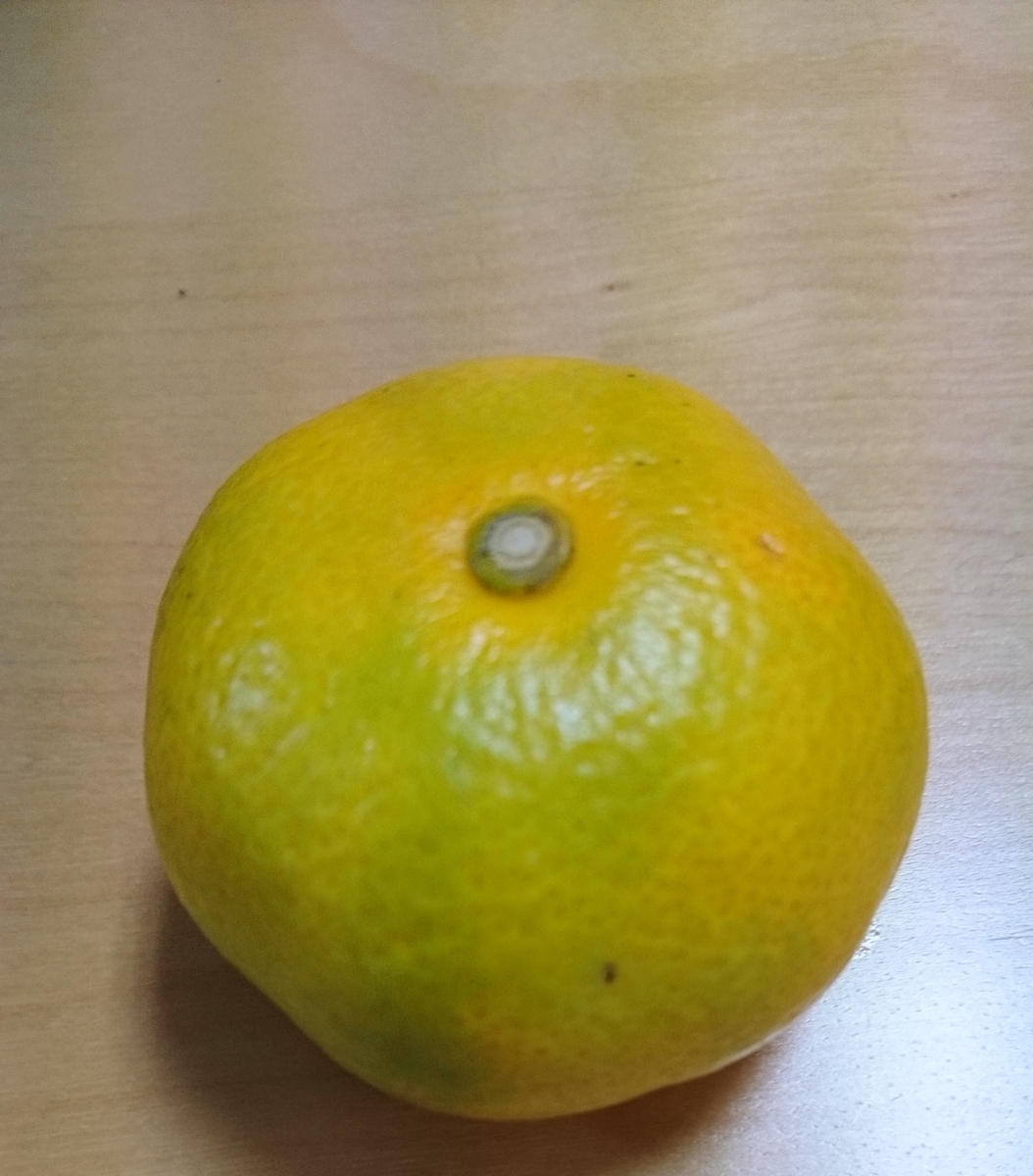 f:id:asakay:20191026153514j:plain f:id:asakay:20191026153514j:plain