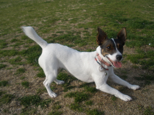 f:id:asako415:20160721072452j:plain