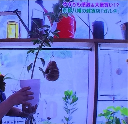 f:id:asako415:20160909213900j:image