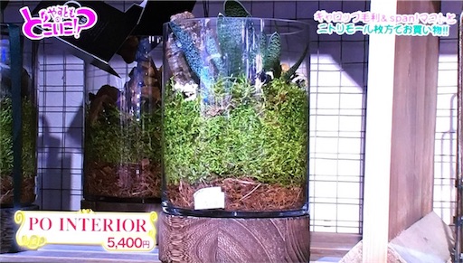 f:id:asako415:20170122135211j:image