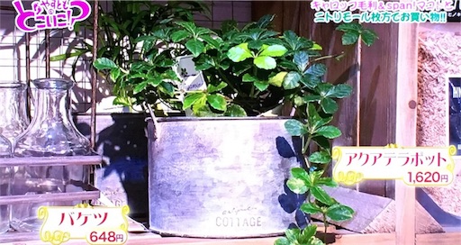 f:id:asako415:20170122135219j:image