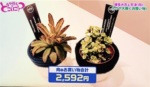 f:id:asako415:20170505202803j:image