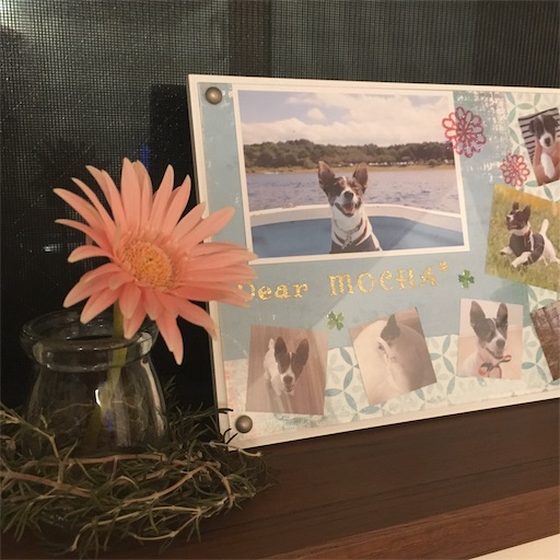 f:id:asako415:20190930195420j:image f:id:asako415:20190930195420j:image