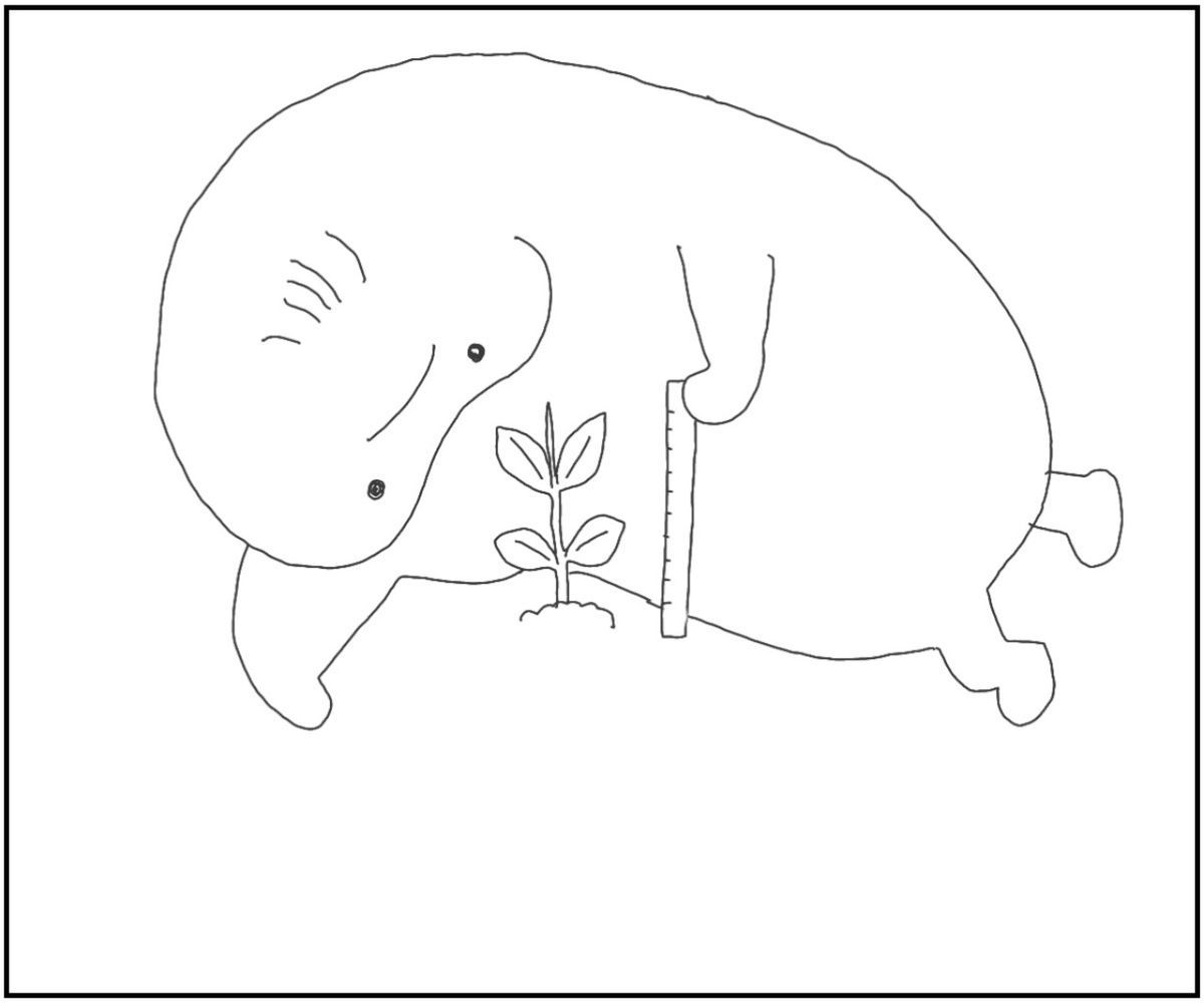 20190601144939