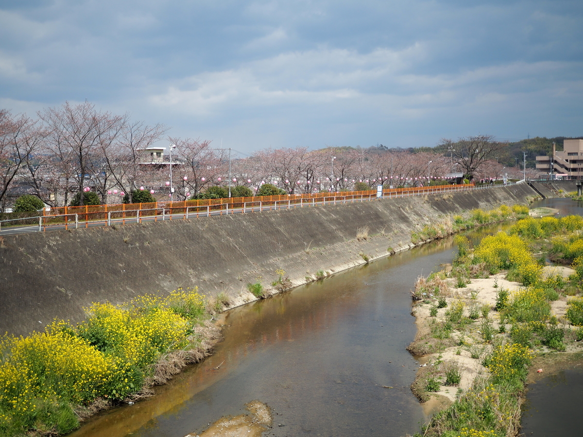 f:id:asakuchi_asako:20190402132907j:plain