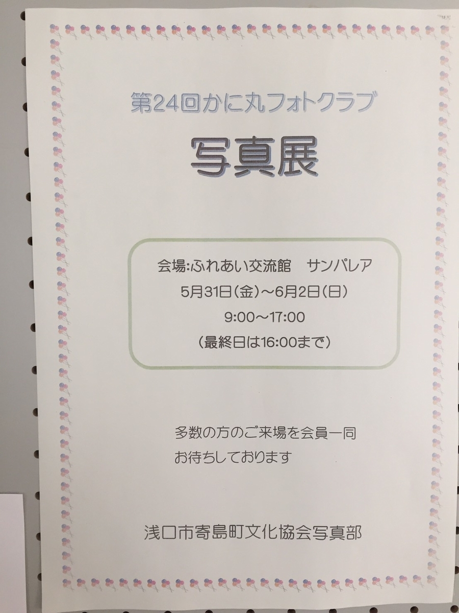 f:id:asakuchi_asako:20190516111158j:plain