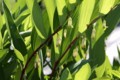 20140507181014