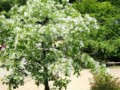 20140507181017