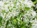 20140507181018