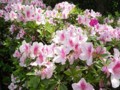 20140508133958