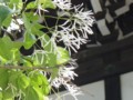20140508133959