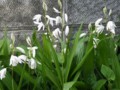 20140508134000
