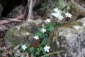 20140511183034