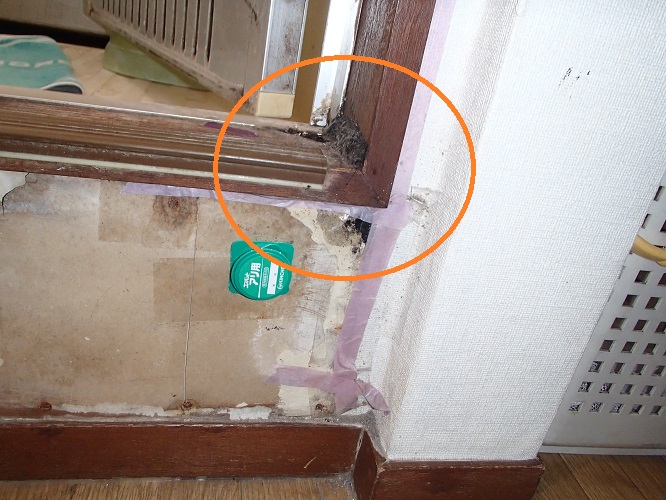 f:id:asakurahouse:20210129112424j:plain