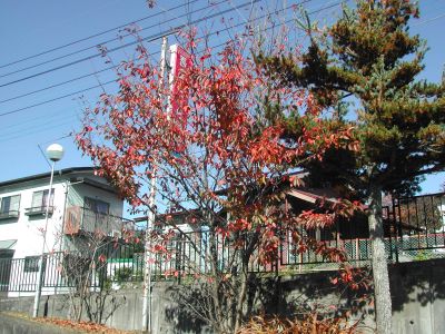 f:id:asakurahp:20211105093041j:plain
