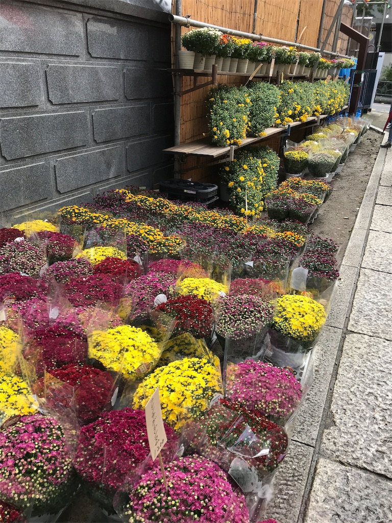 f:id:asakusa5809:20171007222342j:image