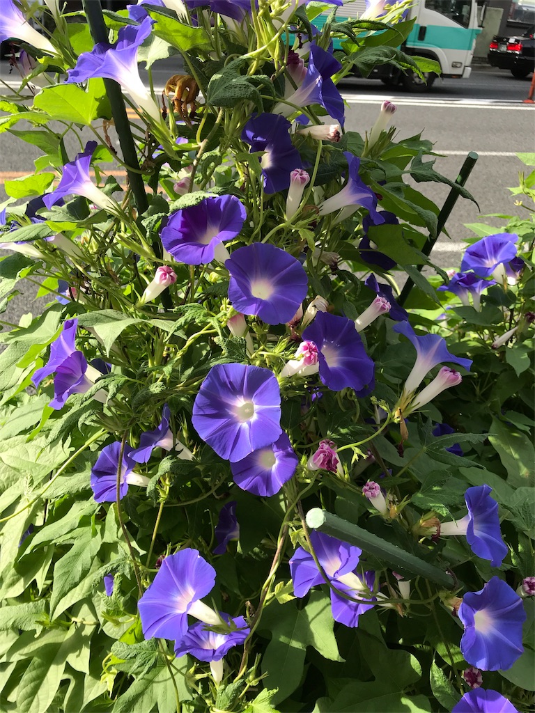 f:id:asakusa5809:20180912081712j:image