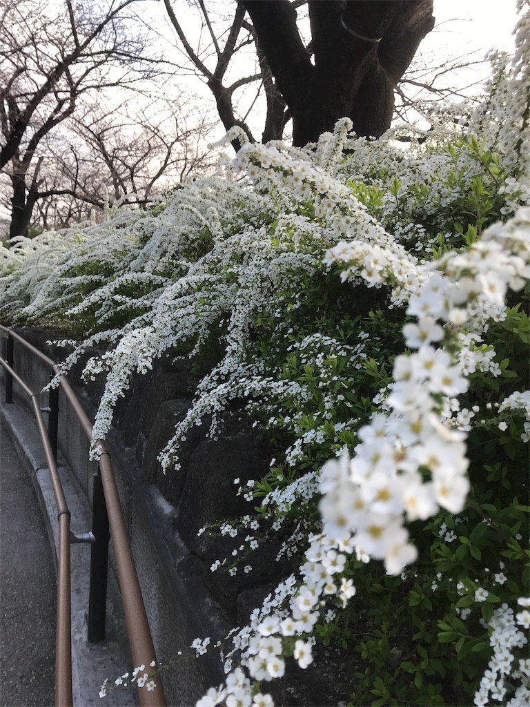 f:id:asakusa5809:20190322073620j:image