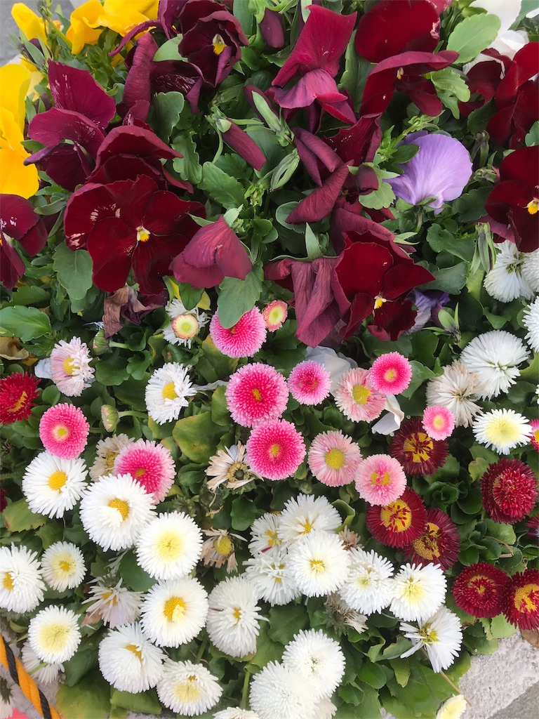f:id:asakusa5809:20190322073626j:image