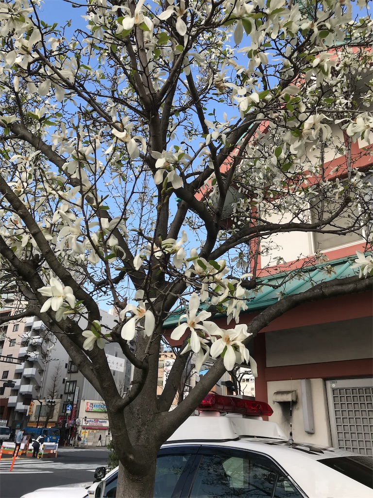 f:id:asakusa5809:20190322073642j:image