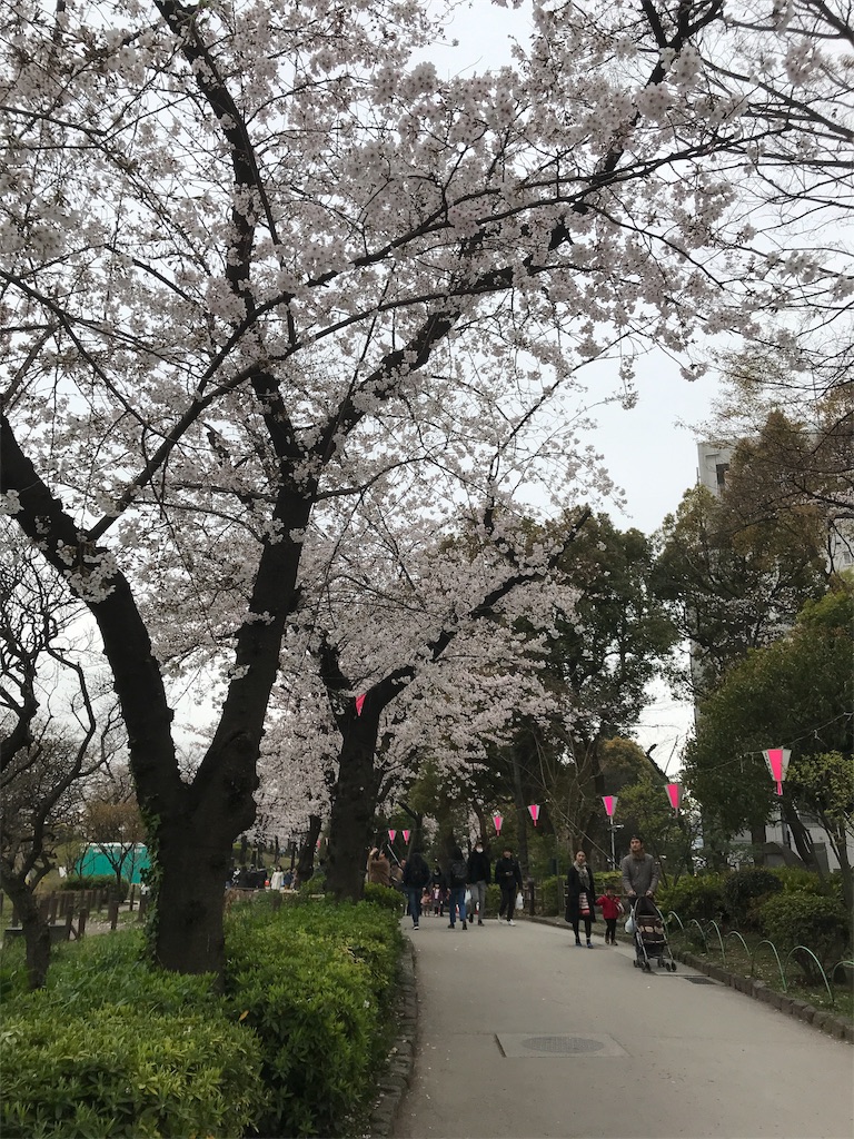 f:id:asakusa5809:20190331095028j:image