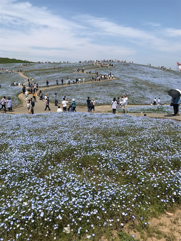 f:id:asakusa5809:20190511211931j:image