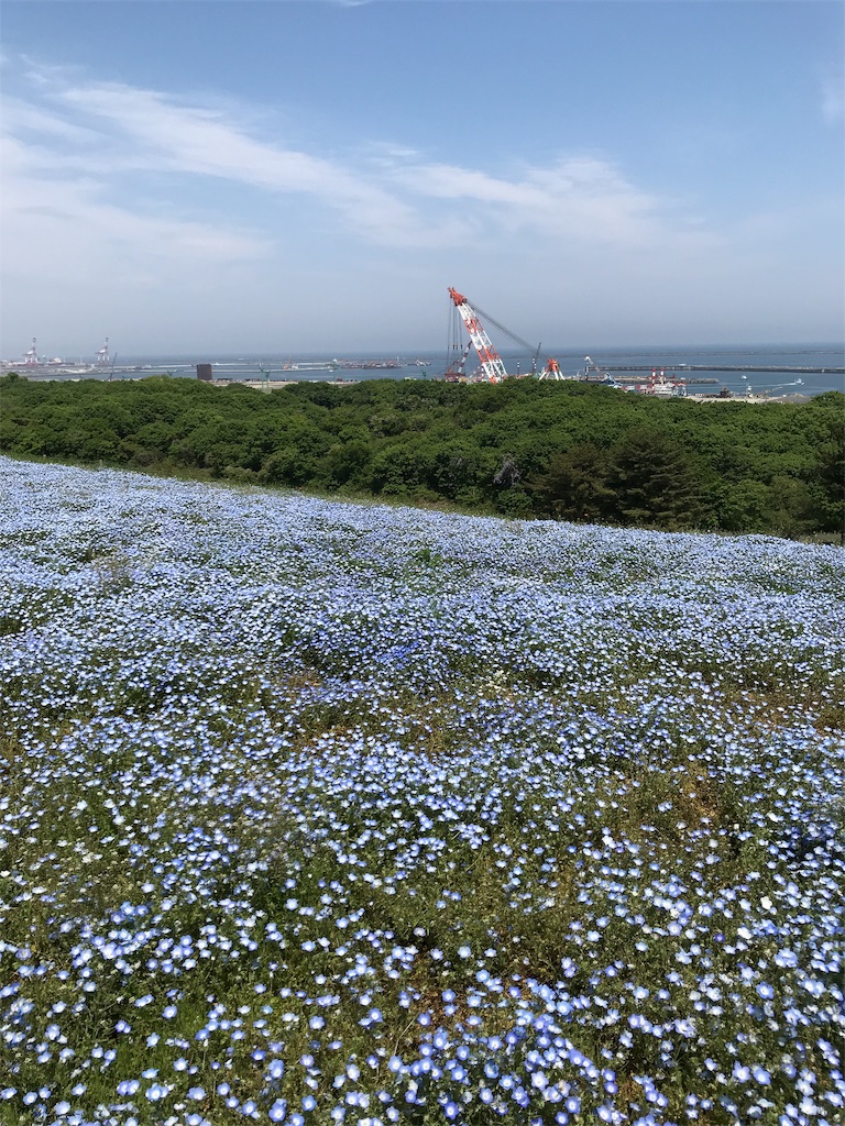 f:id:asakusa5809:20190511211957j:image