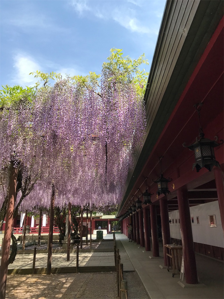 f:id:asakusa5809:20190511212710j:image