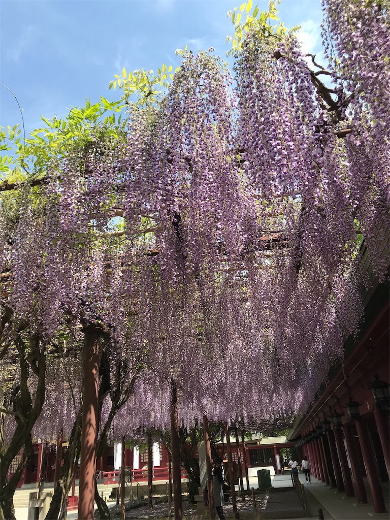 f:id:asakusa5809:20190511212740j:image
