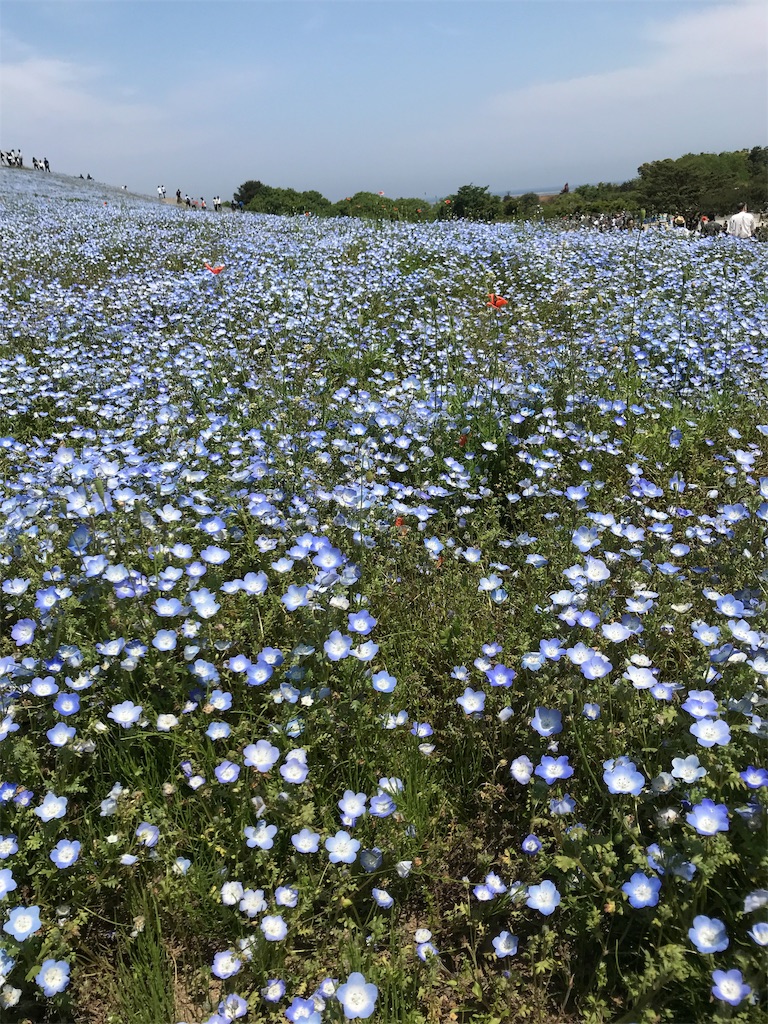 f:id:asakusa5809:20190511220424j:image