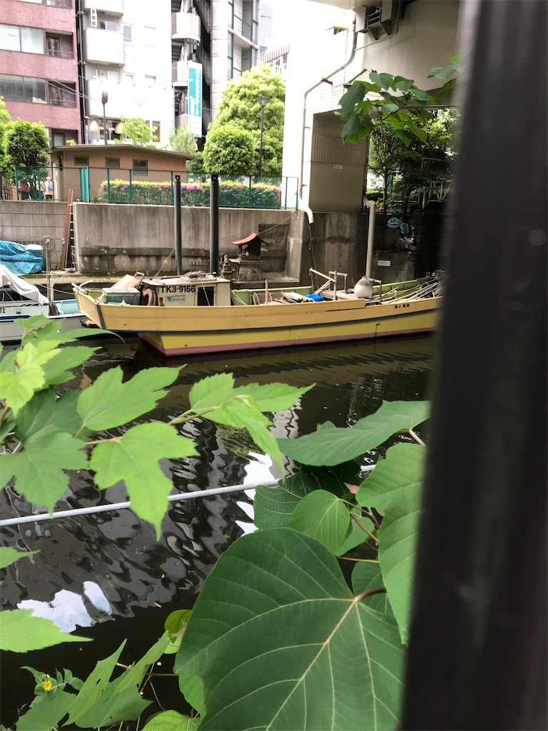 f:id:asakusa5809:20190512144929j:image f:id:asakusa5809:20190512144929j:image