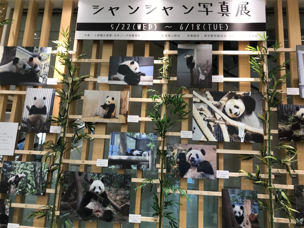 f:id:asakusa5809:20190525181117j:image