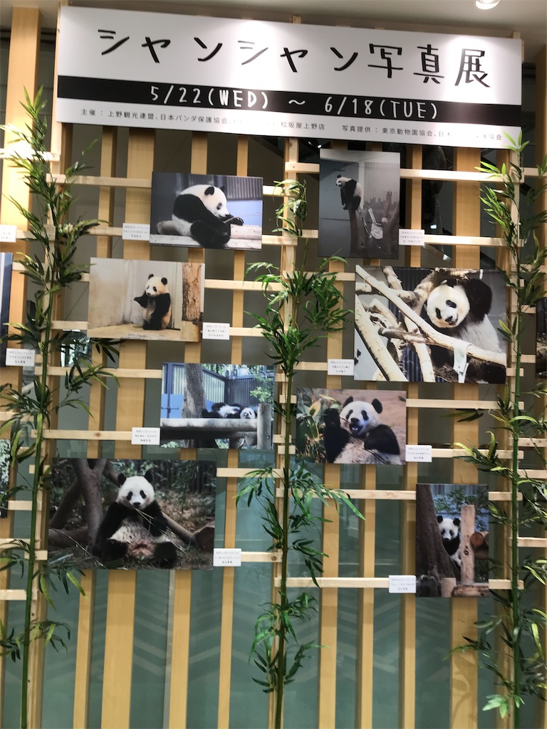 f:id:asakusa5809:20190525181131j:image