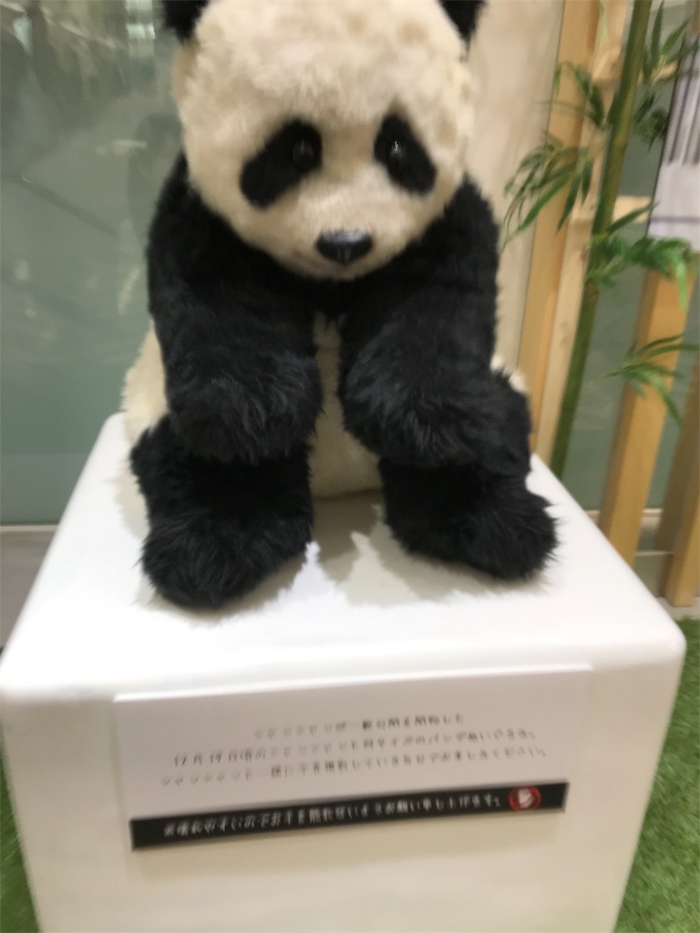f:id:asakusa5809:20190525181143j:image