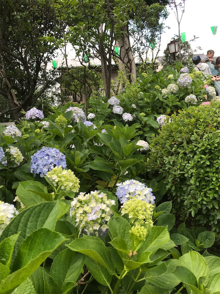 f:id:asakusa5809:20190611172717j:image
