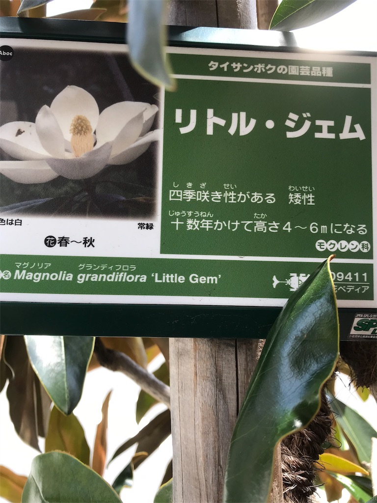 f:id:asakusa5809:20190822174245j:image