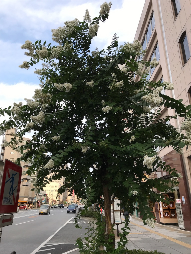 f:id:asakusa5809:20190824175522j:image