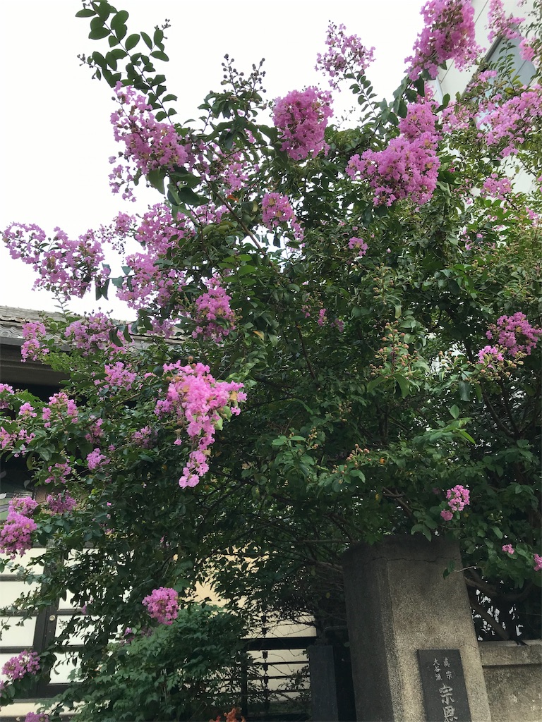 f:id:asakusa5809:20190824175537j:image