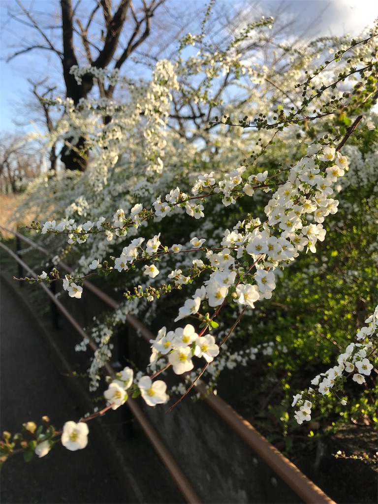 f:id:asakusa5809:20200311073758j:image