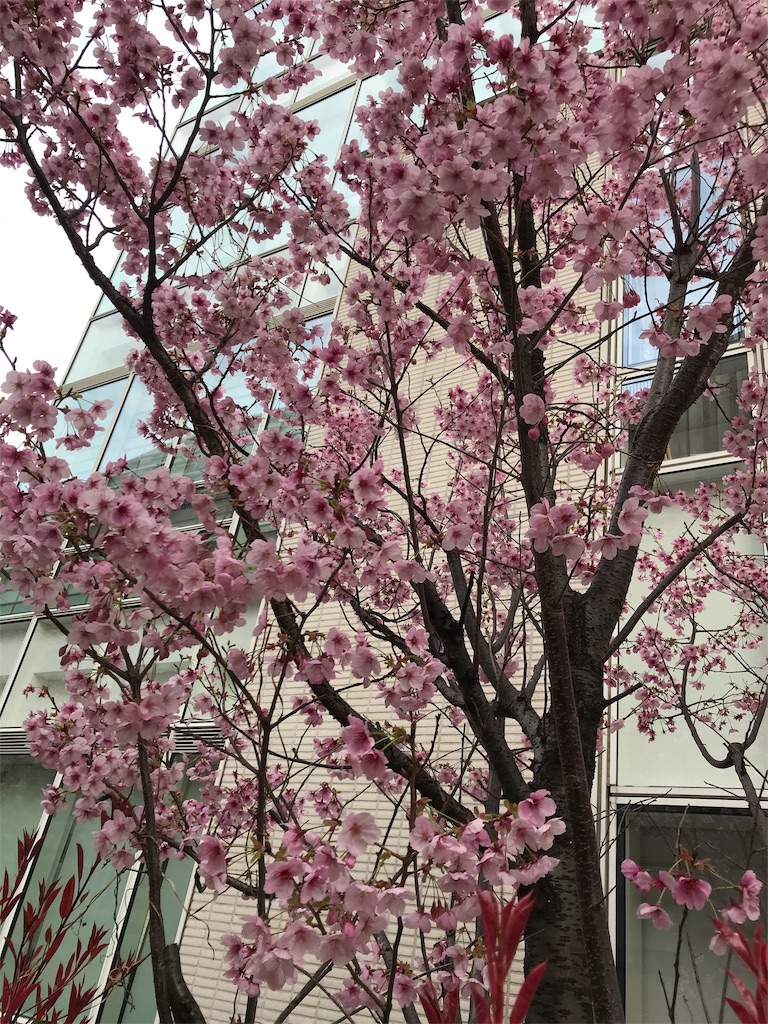 f:id:asakusa5809:20200319105657j:image
