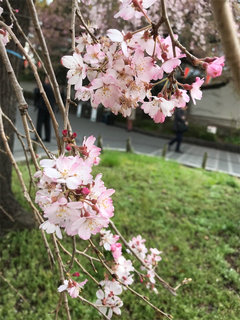 f:id:asakusa5809:20200319105713j:image