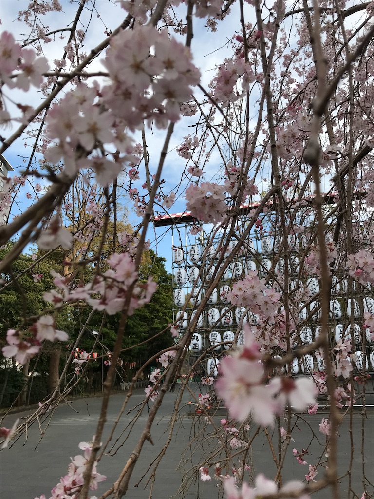 f:id:asakusa5809:20200319105739j:image