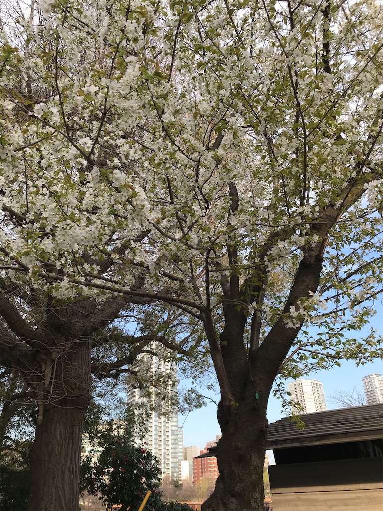 f:id:asakusa5809:20200319105837j:image