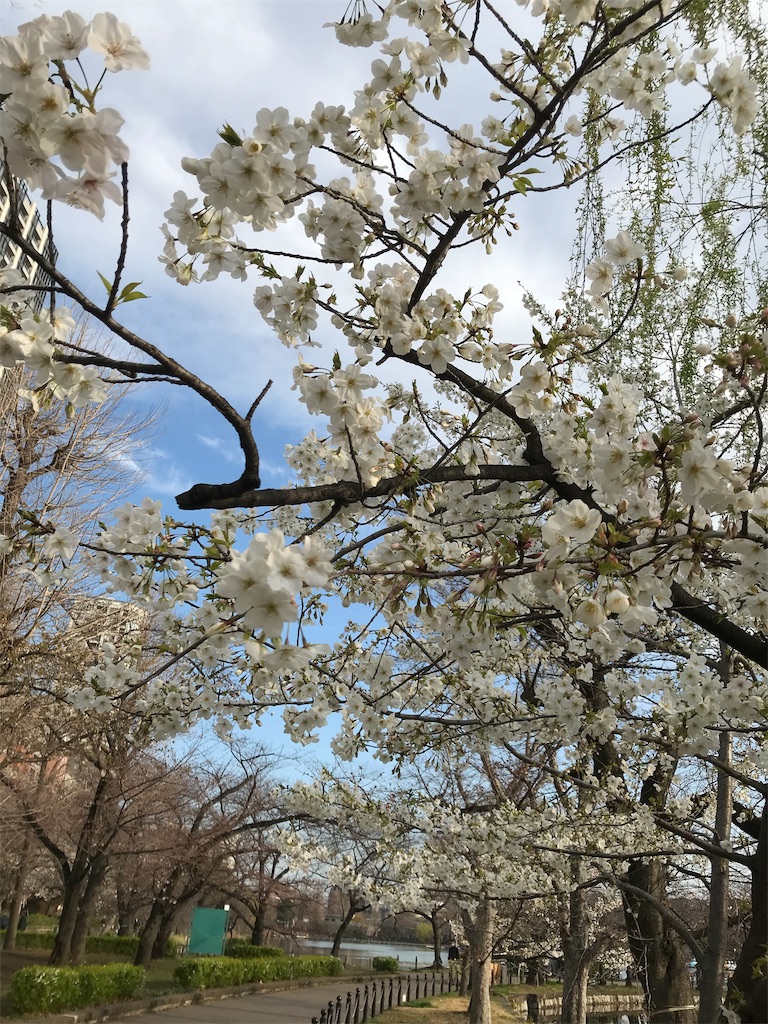 f:id:asakusa5809:20200319105915j:image