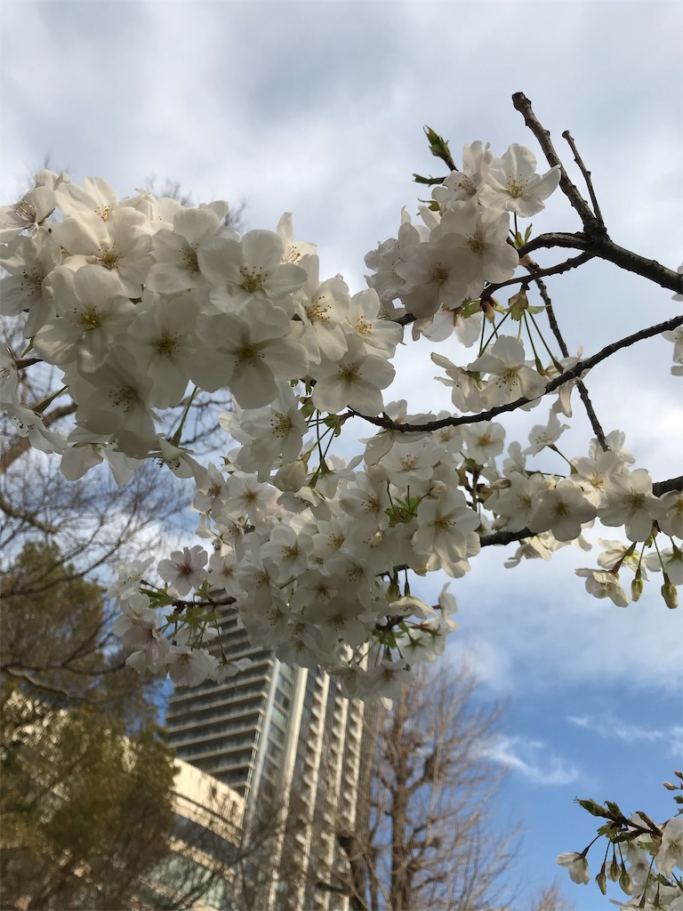 f:id:asakusa5809:20200319105929j:image