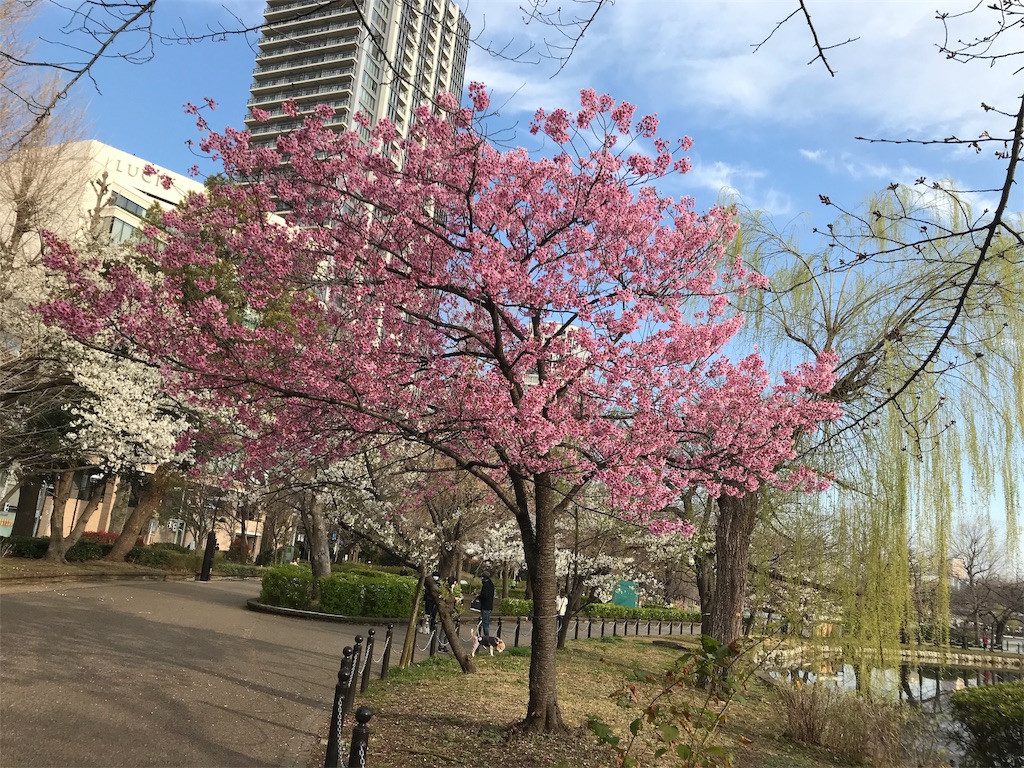 f:id:asakusa5809:20200319105934j:image