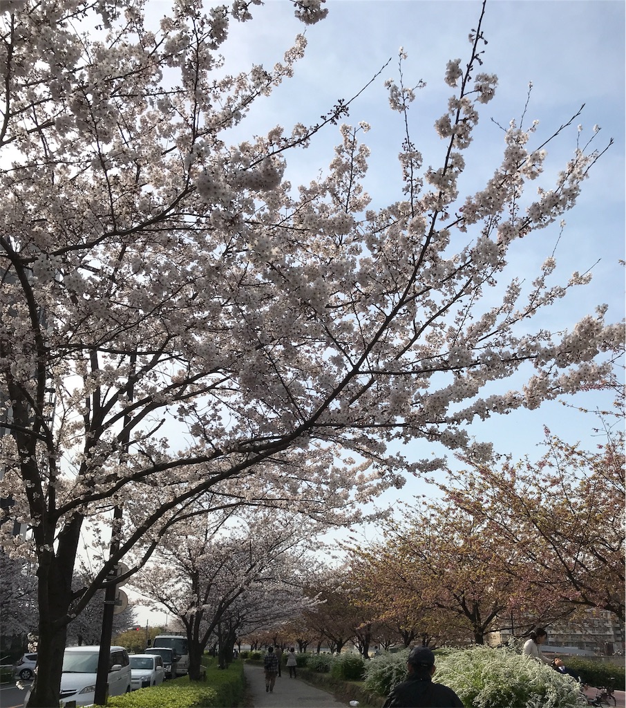 f:id:asakusa5809:20200322162534j:image