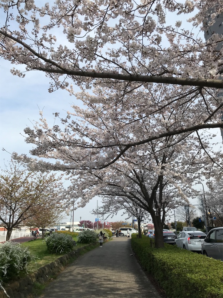 f:id:asakusa5809:20200322162556j:image