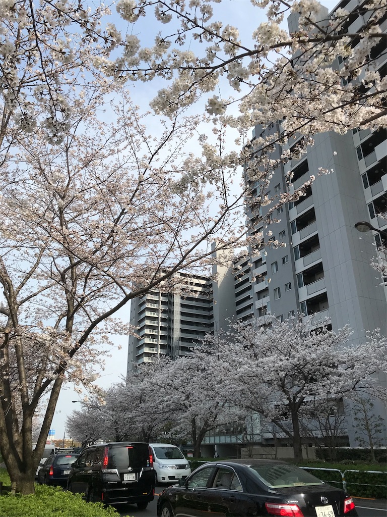 f:id:asakusa5809:20200322162719j:image